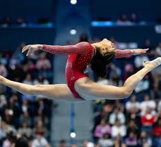 Image result for Focus Institute of Gymnastics