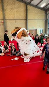 Image result for Carterton Gymnastics Club