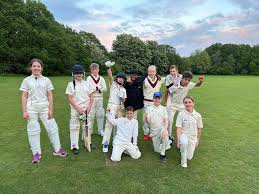 Image result for Salfords Cricket Club