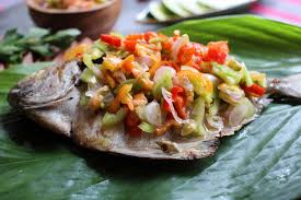 Image result for ikan