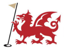 Image result for Borth & Ynyslas Golf Club