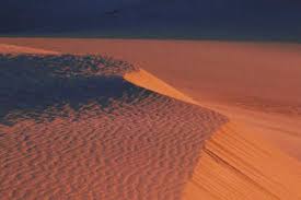 Attēlu rezultāti vaicājumam “Leporida”