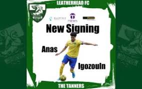 Image result for Leatherhead Football Club