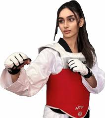 Image result for New Milton Taekwondo Club