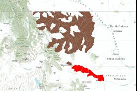 Image result for Sander canadensis/vitreus