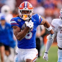 Image result for Grantham Gators