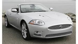 Image result for Silver Fox 2008 Jaguar