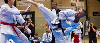 Image result for Harpenden JKA Karate Club