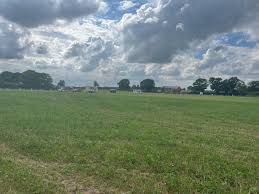 Image result for Cheshire Grass Track Club