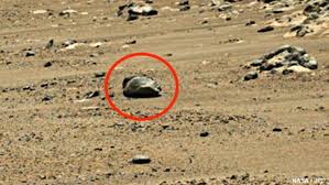 Image result for mars anomalies