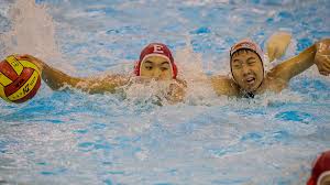 Image result for Exeter Waterpolo and Swimming Club