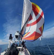 Image result for Channel Sailing Club