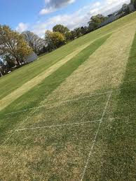 Image result for Farncombe Cricket Club