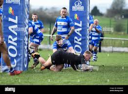 Image result for Mayfield Rugby League Football Club