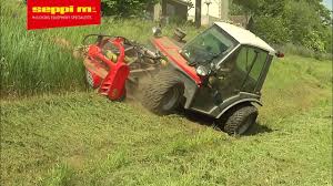 Image result for seppi tehron