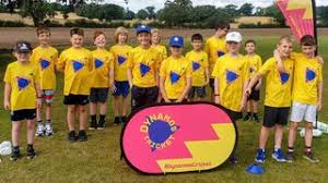 Image result for Yoxford Cricket Club