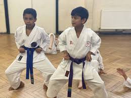 Image result for Everitt Karate Academy