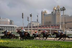 Image result for The Horse Racing Club