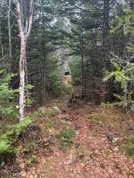 Image result for Osprey Archery Club