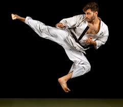 Image result for Newport Kyokushin Karate Club