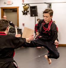 Image result for Phoenix Martial Arts
