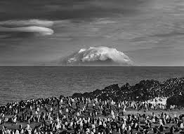Image result for sebastiao salgado