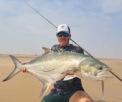 Image result for Lichia amia