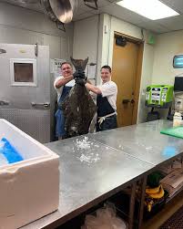 Image result for Crosby Scrabble Club