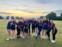 Image result for Witham Cricket Club