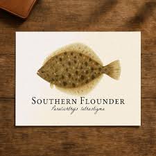 Image result for Paralichthys lethostigma