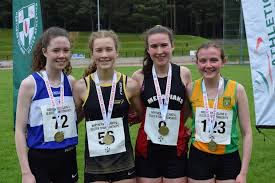 Image result for omagh harriers