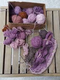 Attēlu rezultāti vaicājumam “Hapalopilus nidulans”