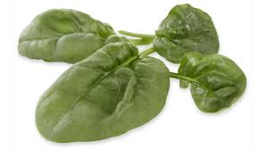 Image result for Spinat