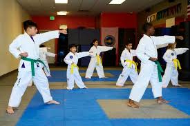 Image result for K5 Academy Of Martial Arts