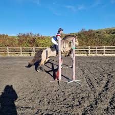 Image result for Elstead Riding Club
