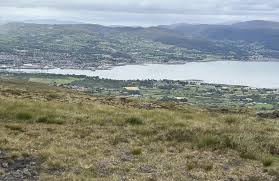 Image result for Louth Velo