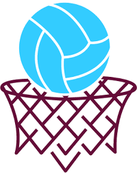 Image result for Icons Netball Club