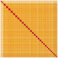 Attēlu rezultāti vaicājumam “Colostygia pectinataria female”