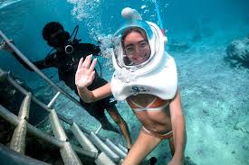 Image result for Exe To Sea Diving