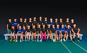 Image result for Richmond Junior Badminton Club