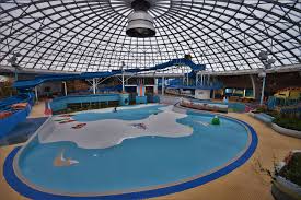 Image result for Swindon Amateur Swimming Club