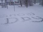 Snow Day Hopes… | Look at my happy rainbow!