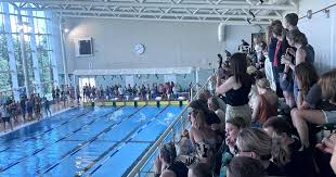 Image result for Kingsbridge Kingfishers Swimming Club