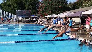 Image result for Kingsbridge Kingfishers Swimming Club