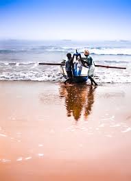 Image result for epl1 20mm night site:flickr.com