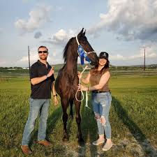 Image result for Annandale Equestrian Centre