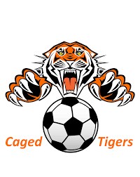 Image result for Shalford Cricket Club