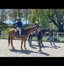 Image result for Riding For The Disabled Association