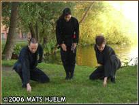 Image result for Bujinkan Dojo Seijitsu