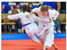Image result for Grange Judo Club